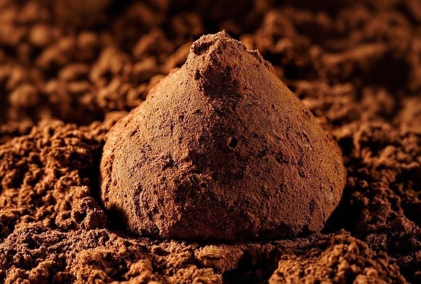 Les truffes au chocolat : un délice fondant